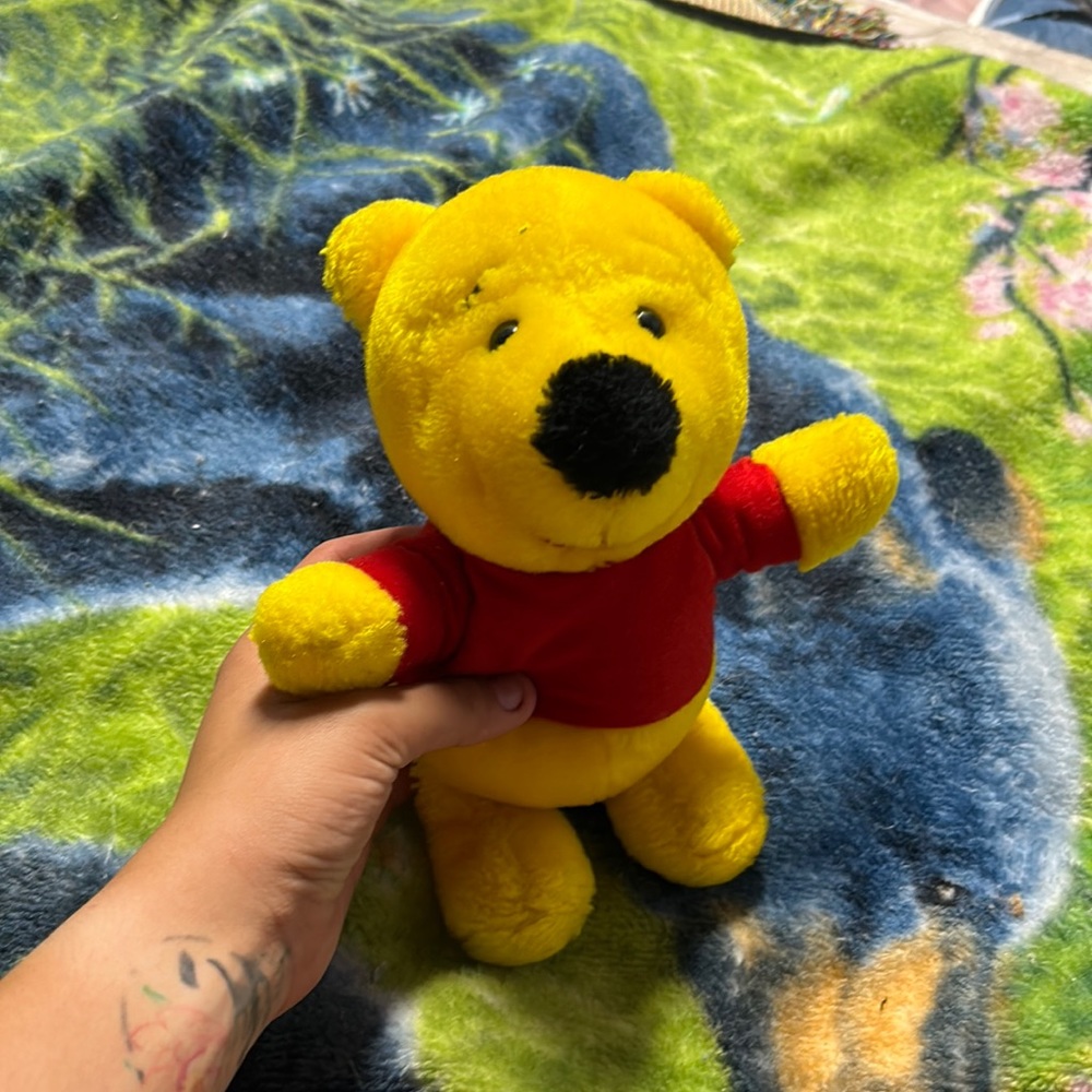 WINNIE THE POO TEDDY
